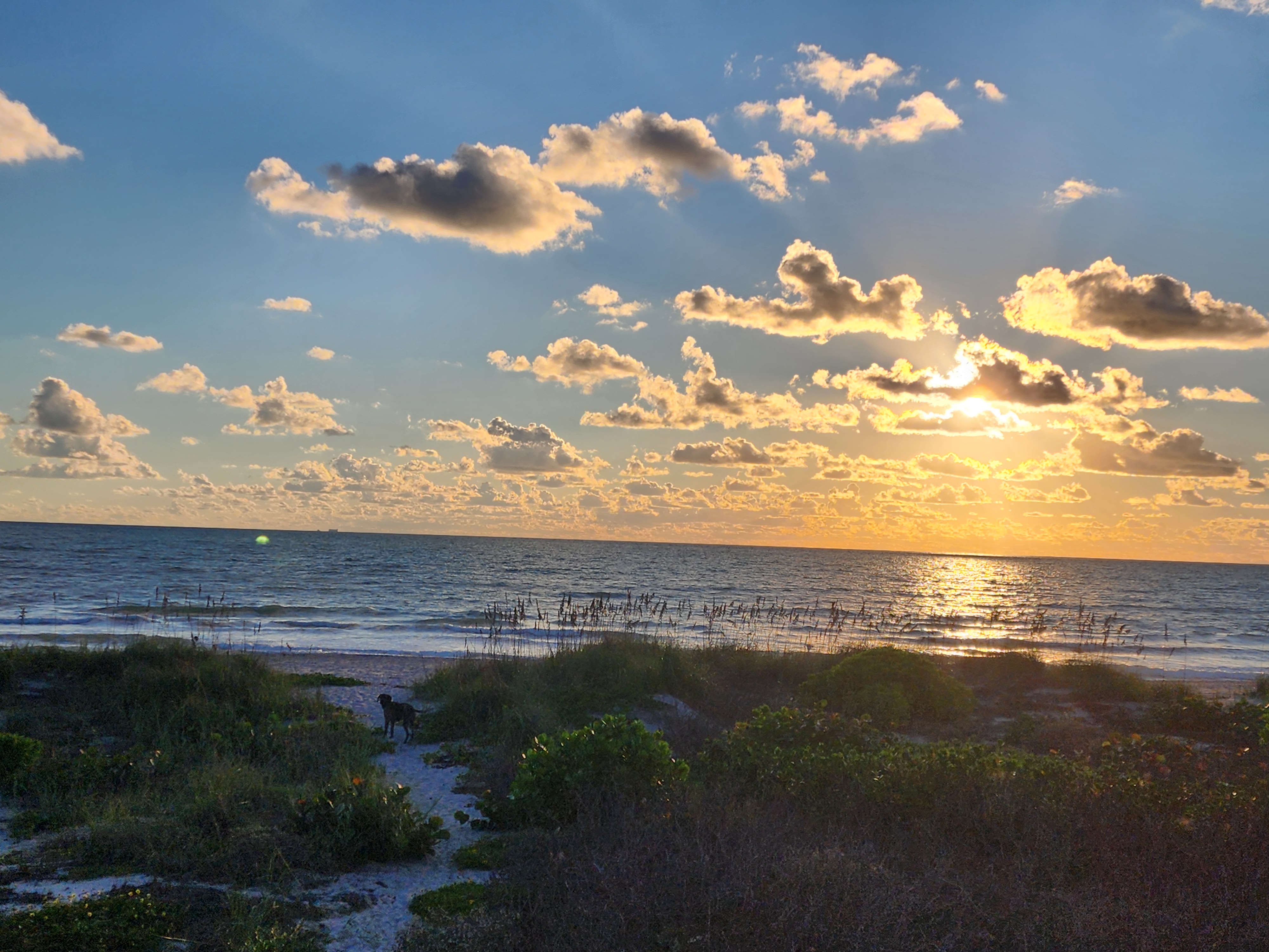 Sun breaking through scattered golden clouds over the ocean, with the dog standing on the sandy dune path below