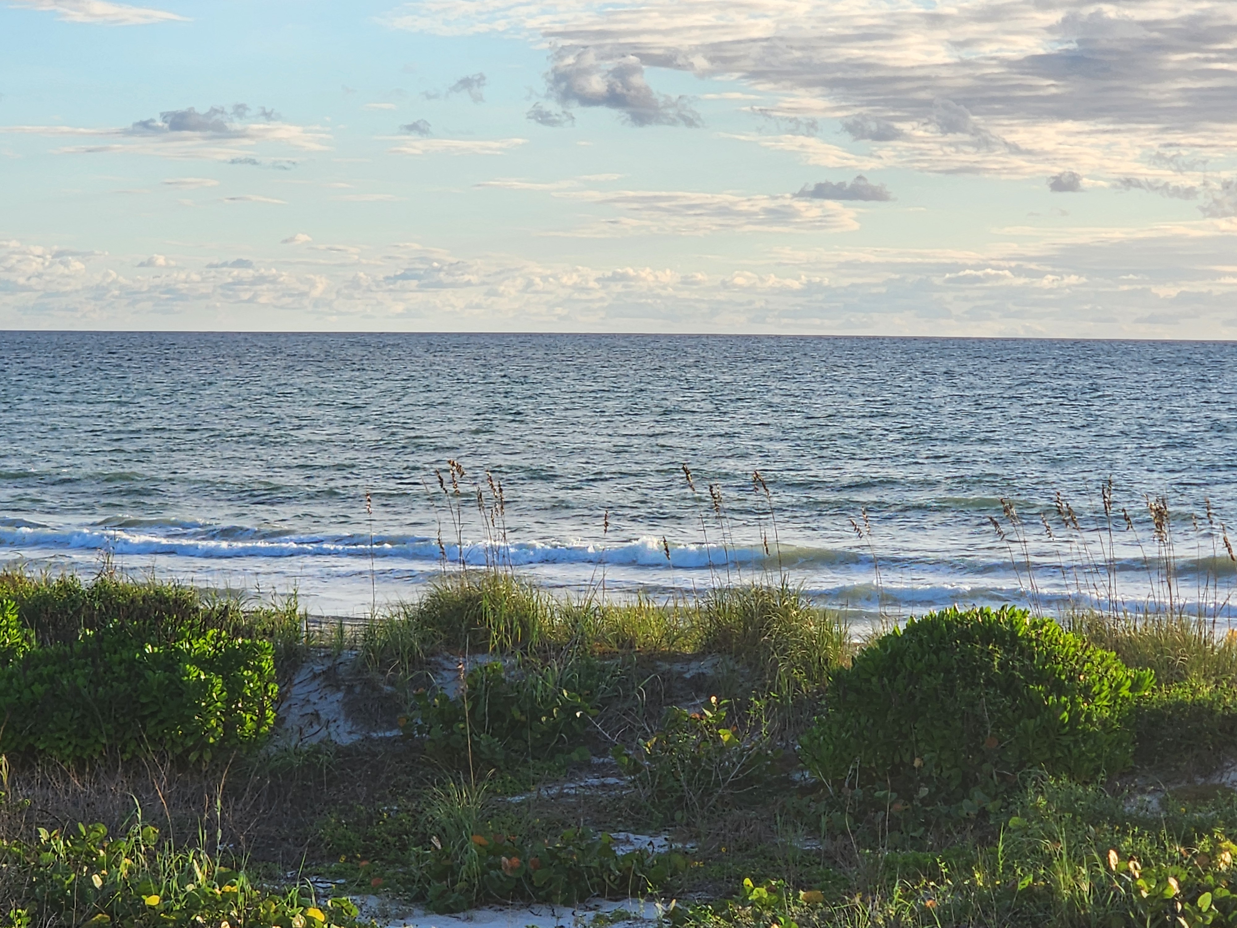 Small crumbling whitewater lines behind sea oats and dune vegetation under a partly cloudy sky