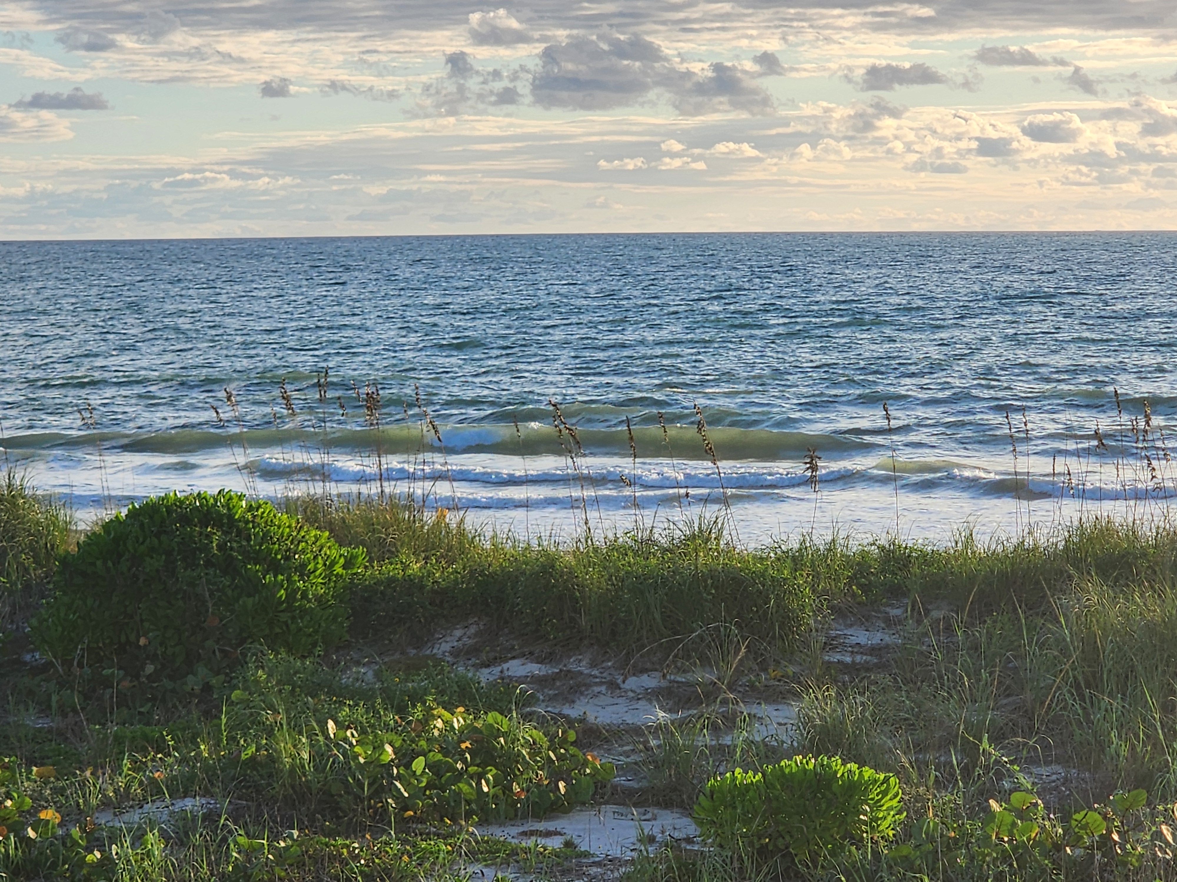 Wind-textured ocean with a small peeling wave framed by sea oats, layered clouds on the horizon