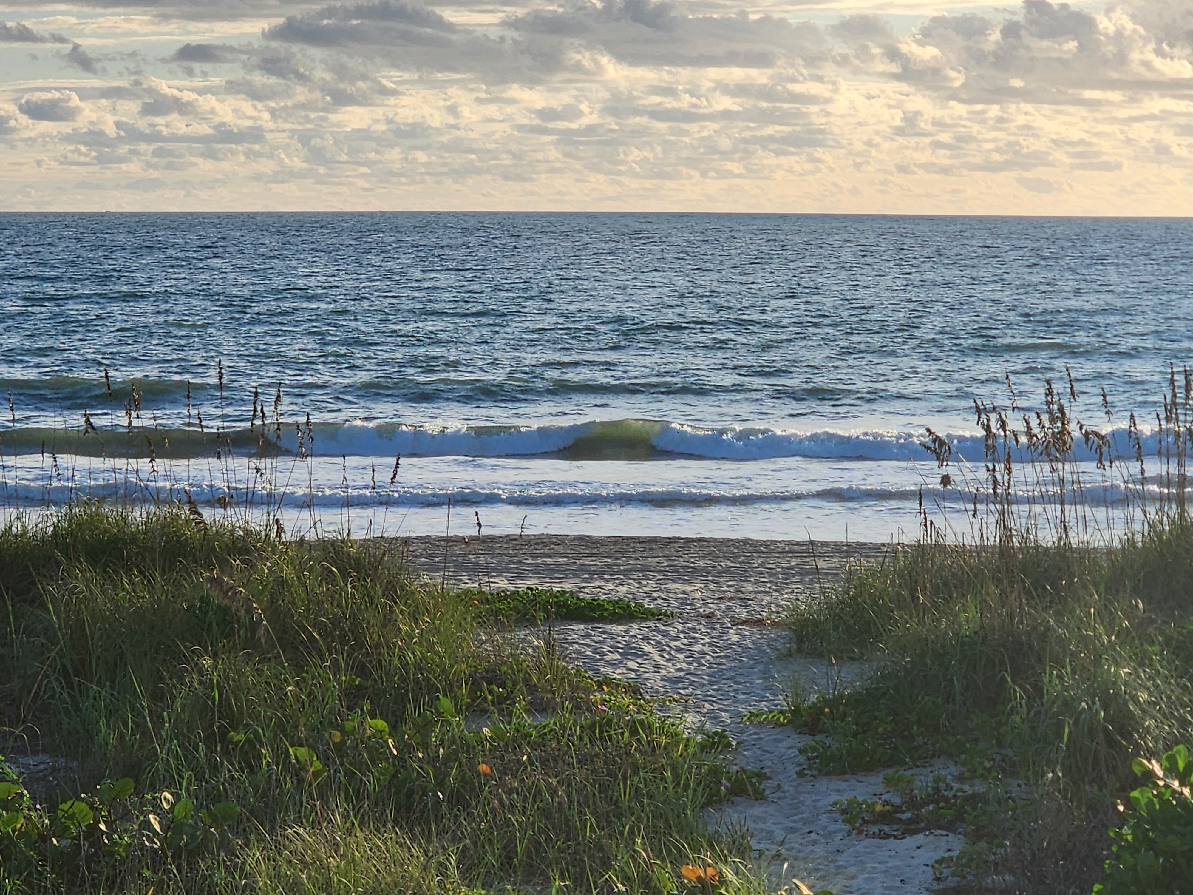 Small wave curling green through the sea oats at the end of the beach path, golden cloudy sky