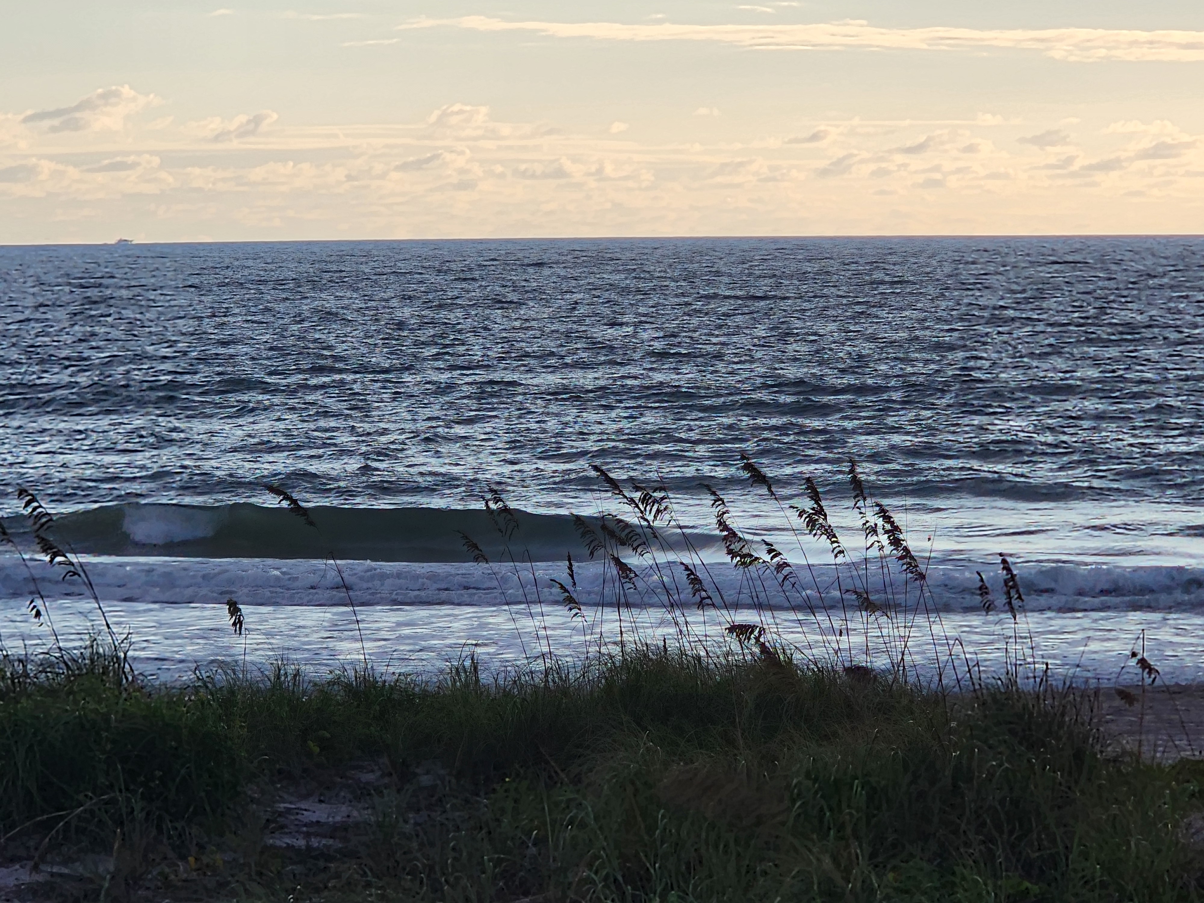 A single wave feathering and breaking behind sea oats, with choppy open water and a pale morning sky