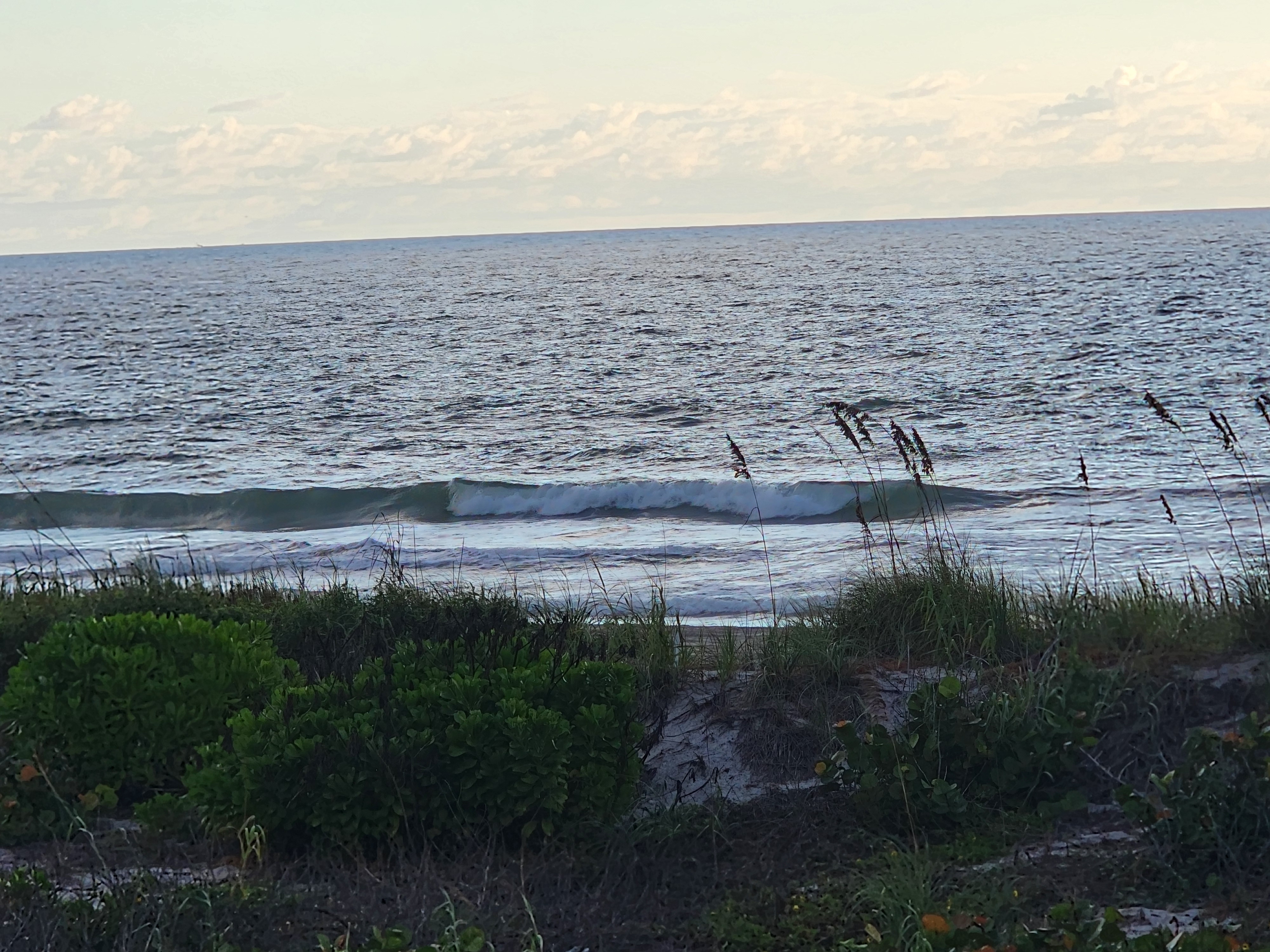 Glassy-faced wave peeling right behind the dune, wind texture on the water beyond