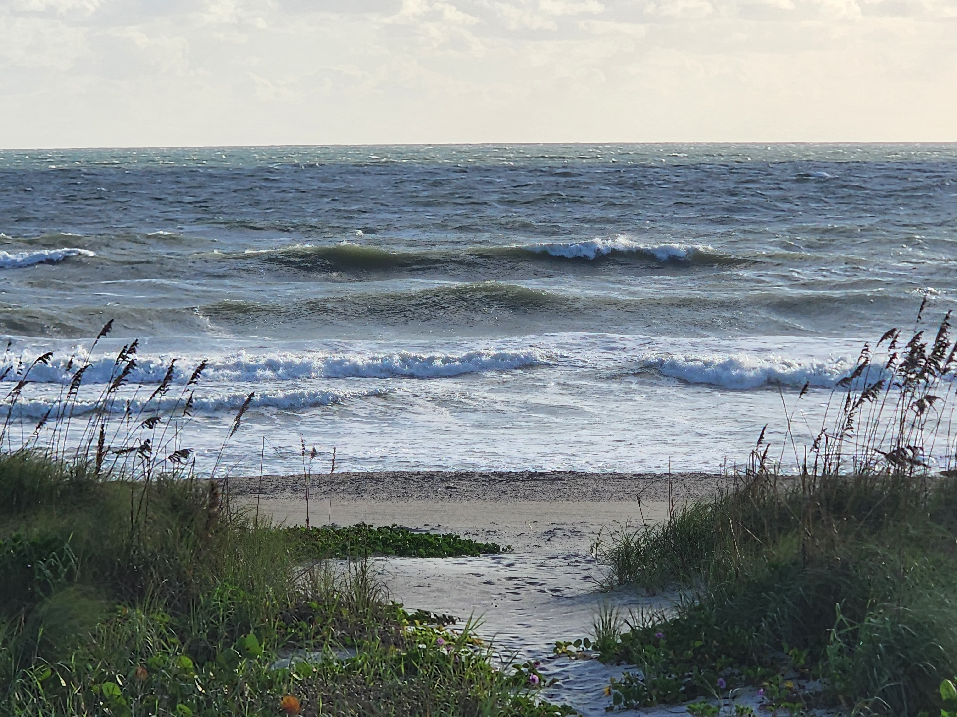 Dark green walls of disorganized swell and inside whitewater seen through a sandy gap in the dune grass