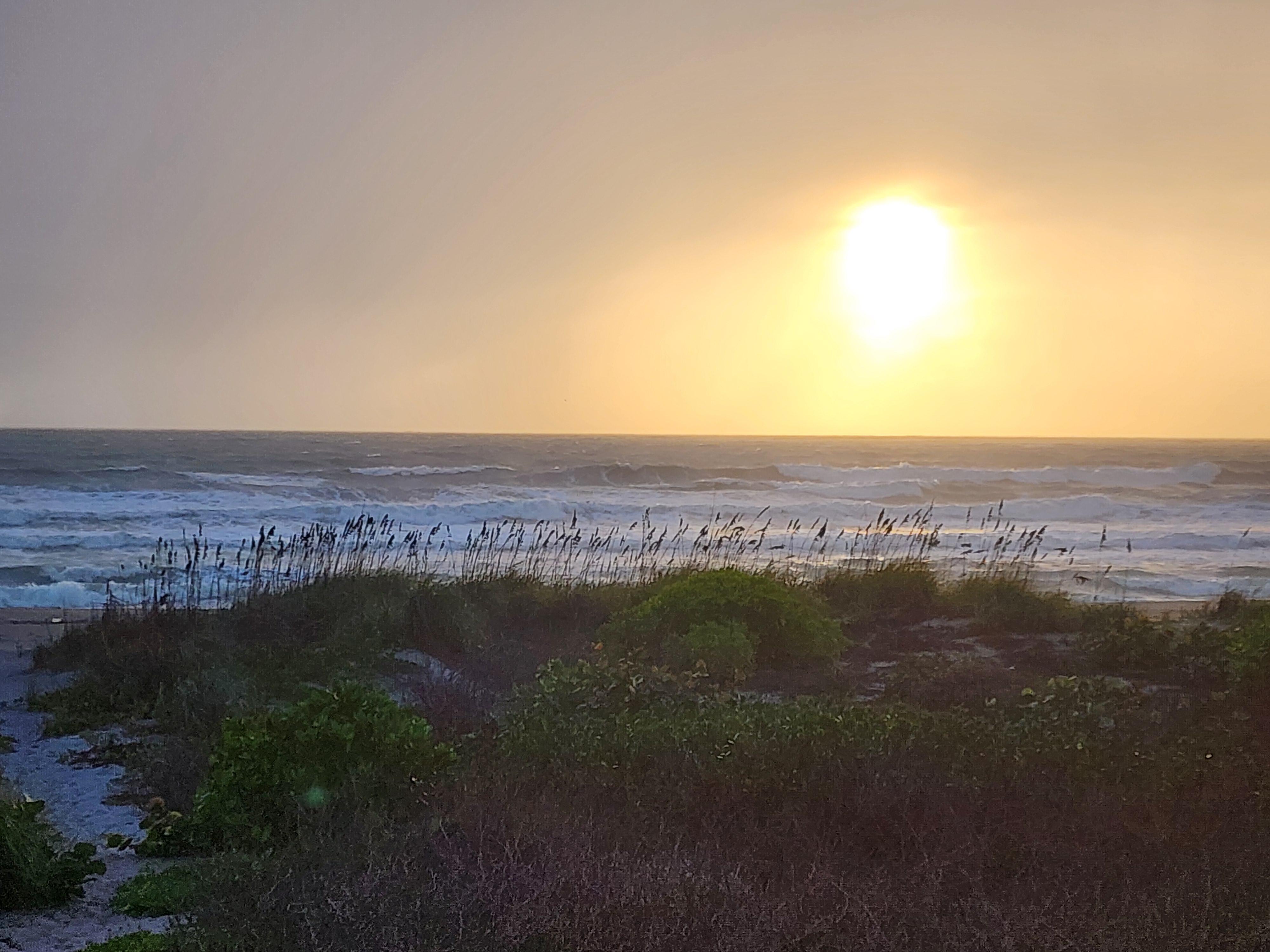 Hazy golden sun glowing through rain squalls over a whitewater-covered surf zone, silhouetted sea oats along the dune