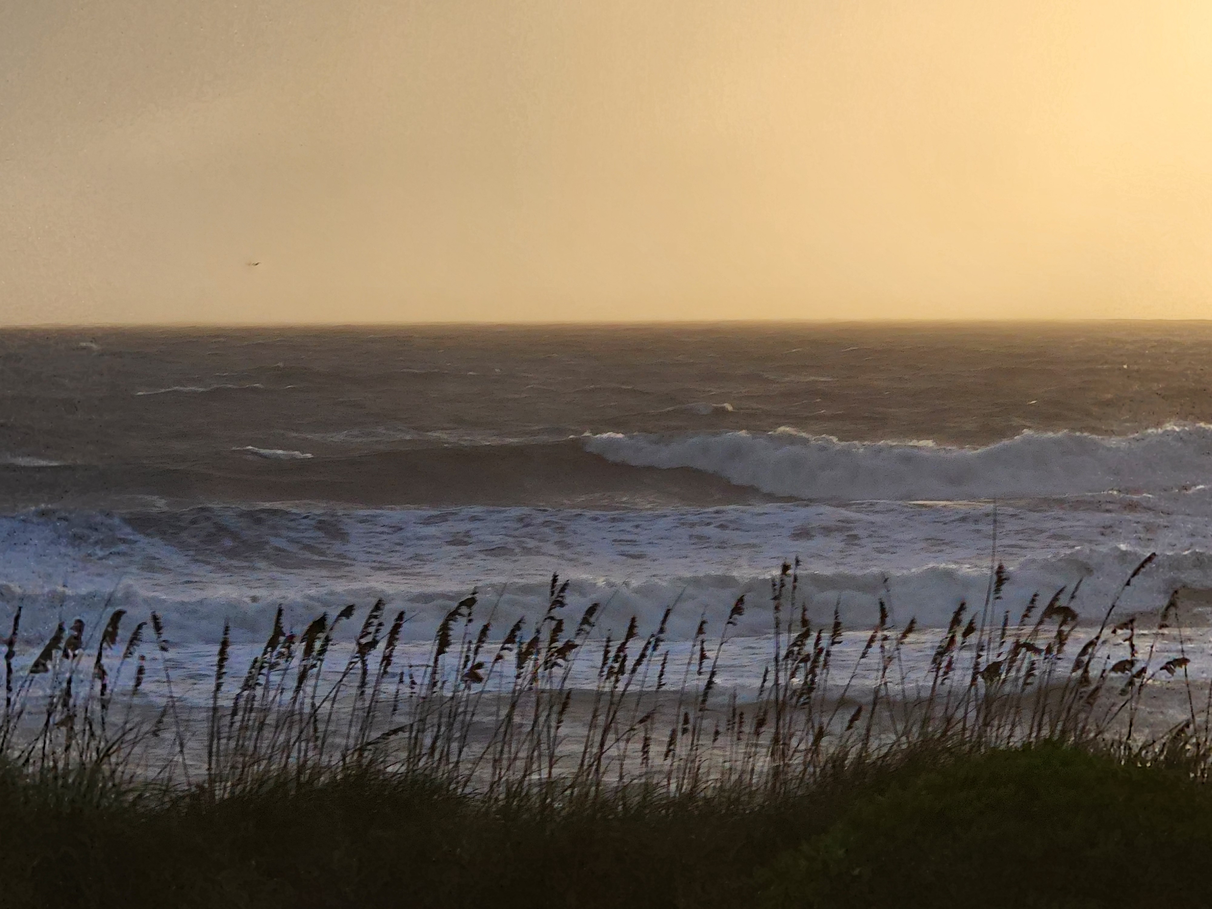 Amber-lit storm surf with a large wave curling and breaking outside and wind-bent sea oats in silhouette