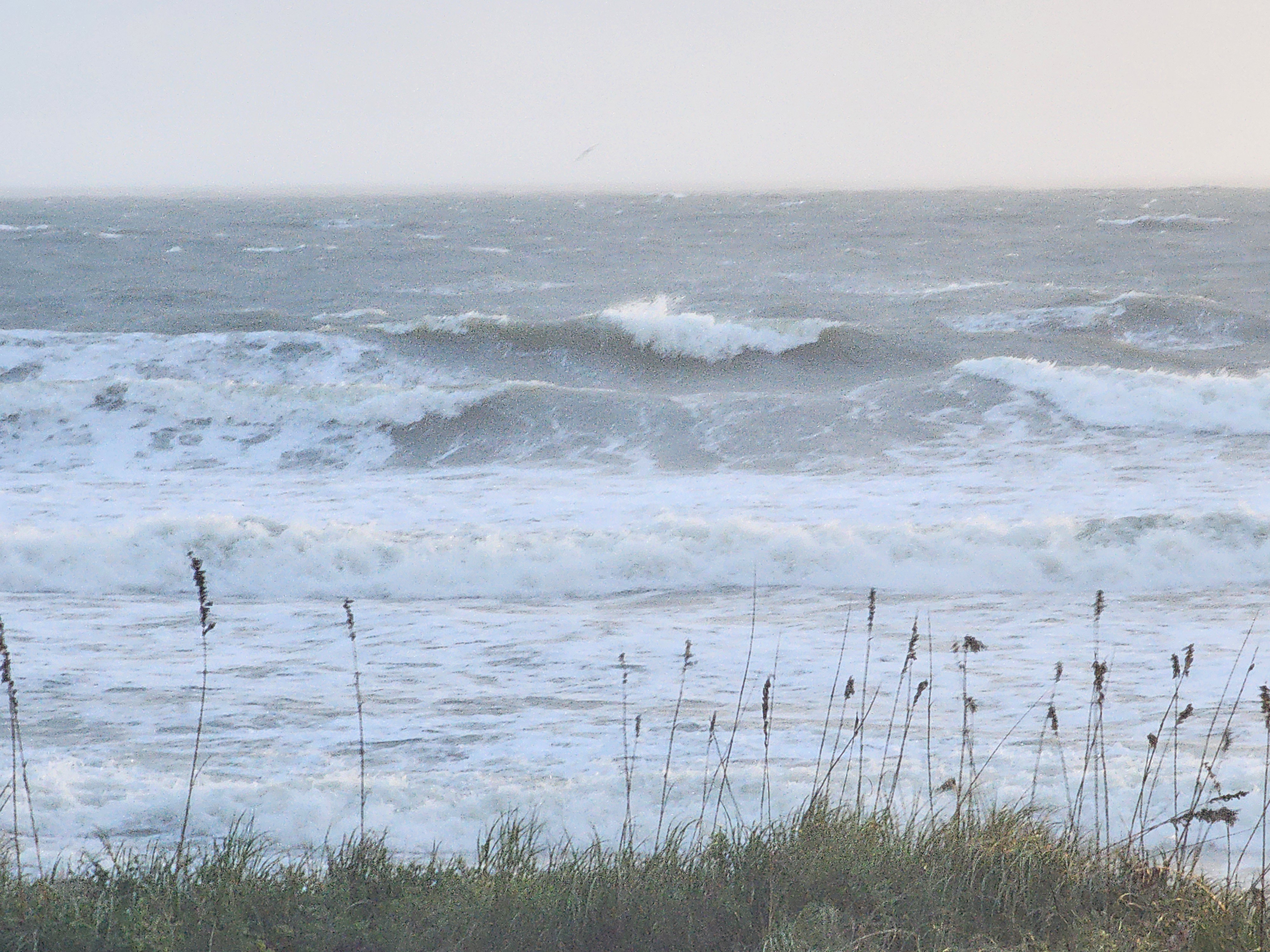 Ragged waves feathering in the wind over a foam-covered inside, sea oats swaying at the dune line