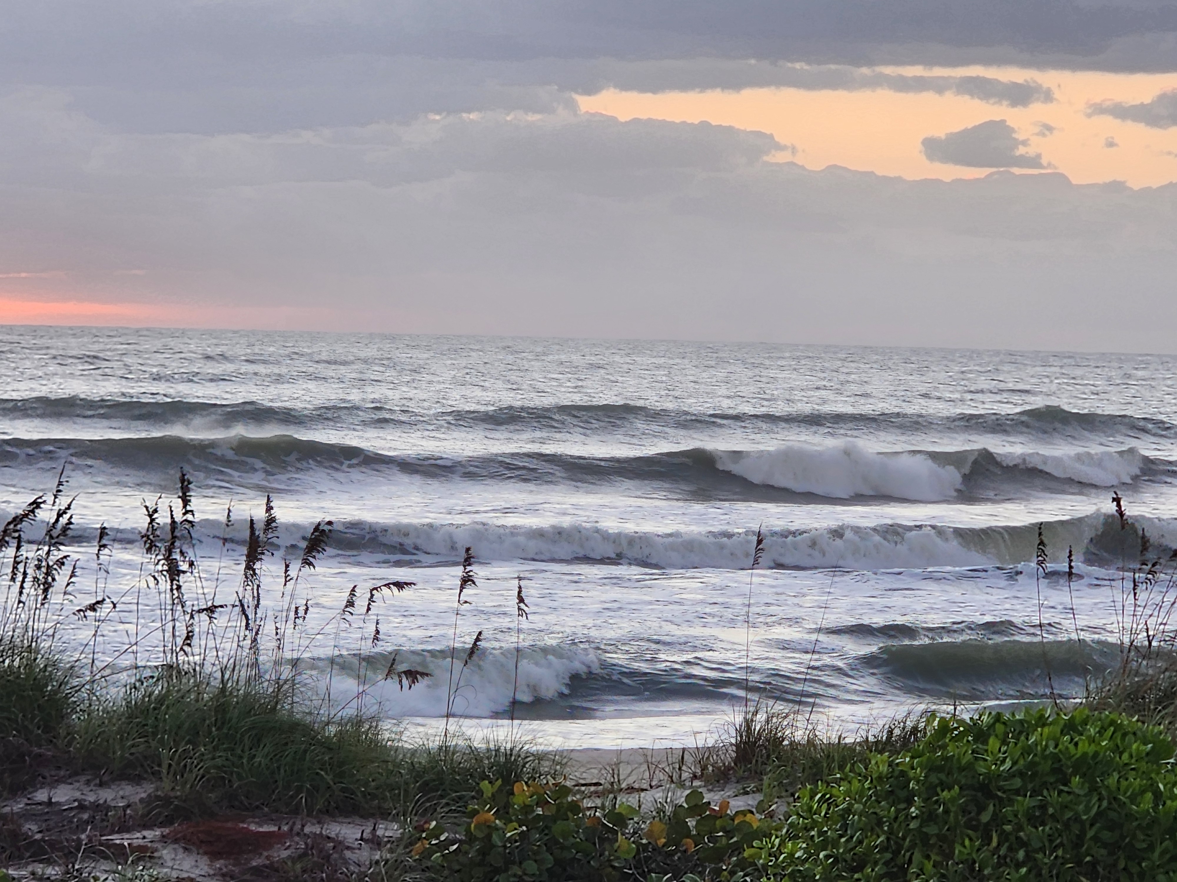 A heavy set wave pitching and throwing spray off its lip in the NNW breeze, with a jumble of inside whitewater and a pink glow low on the horizon beyond the sea oats and sea grapes