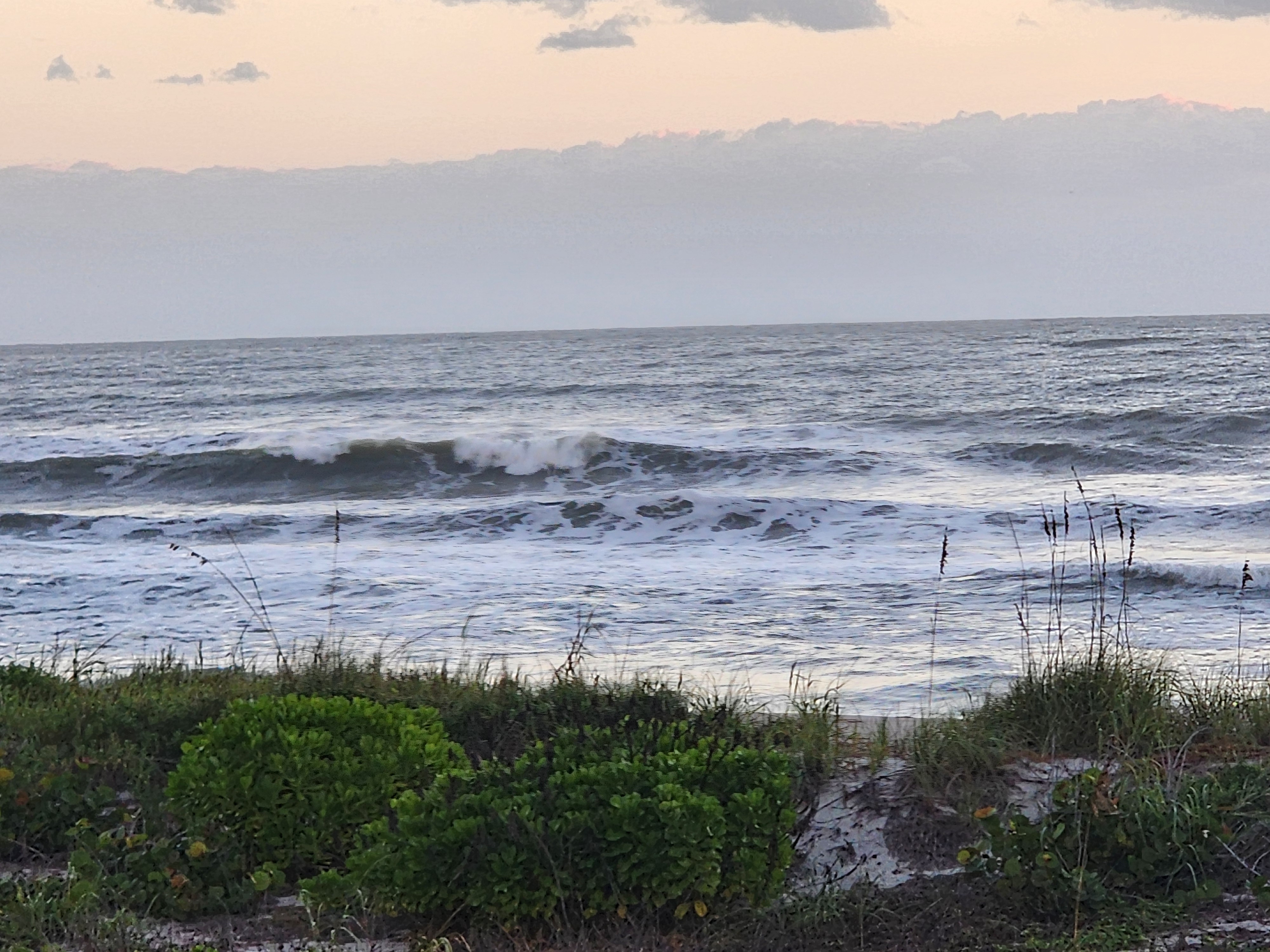 A dark, thick lip feathering and folding over on the outside sandbar, offshore spray blowing back off the crest, under a peach-toned sky with a low cloud bank and green bay cedar in the dune foreground