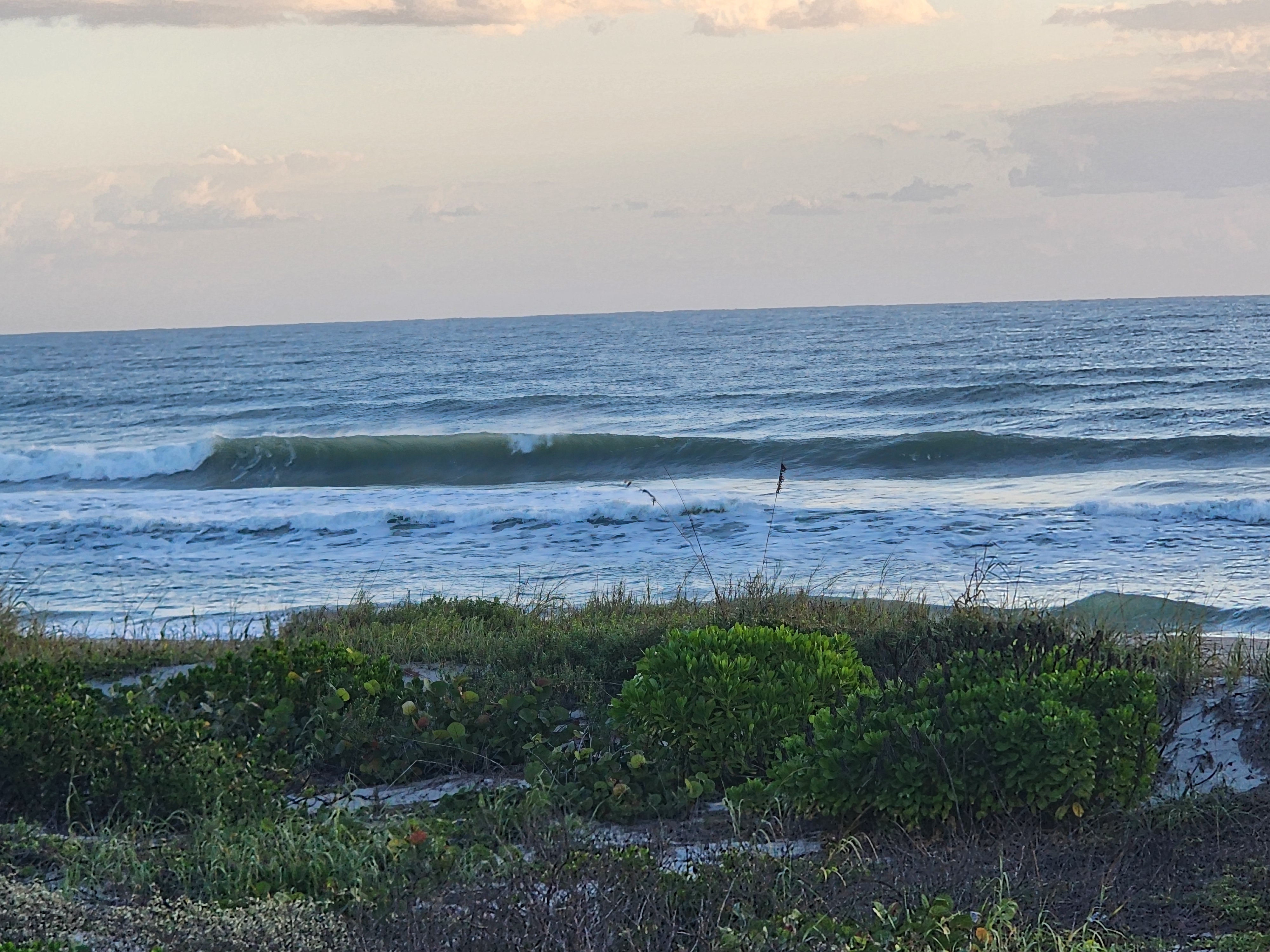 A long glassy green left walling up and peeling across the outer bar, sea oats framing the view