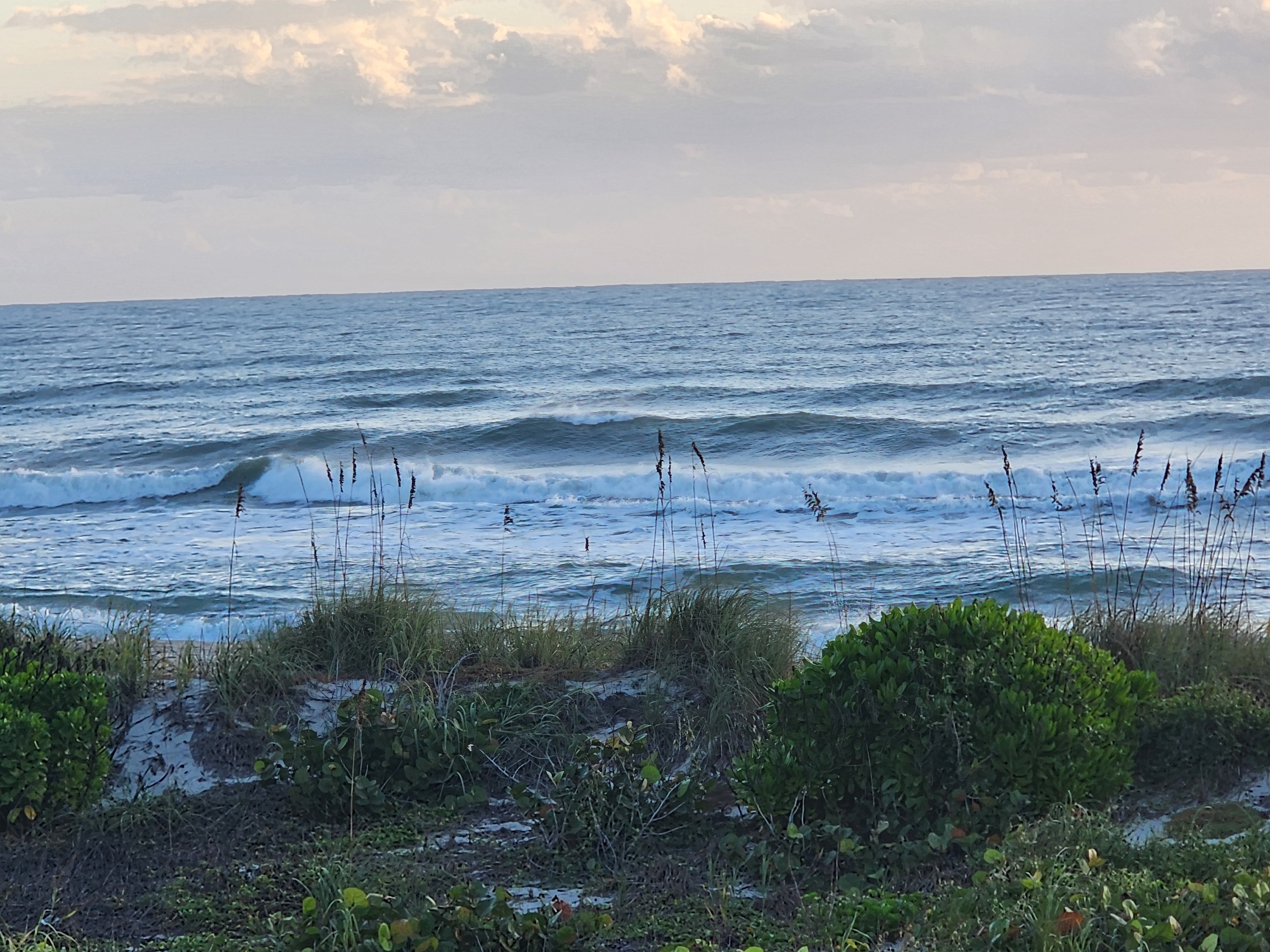 Clean overhead-ish set feathering on the outside with whitewater rolling through the inside behind the sea oats