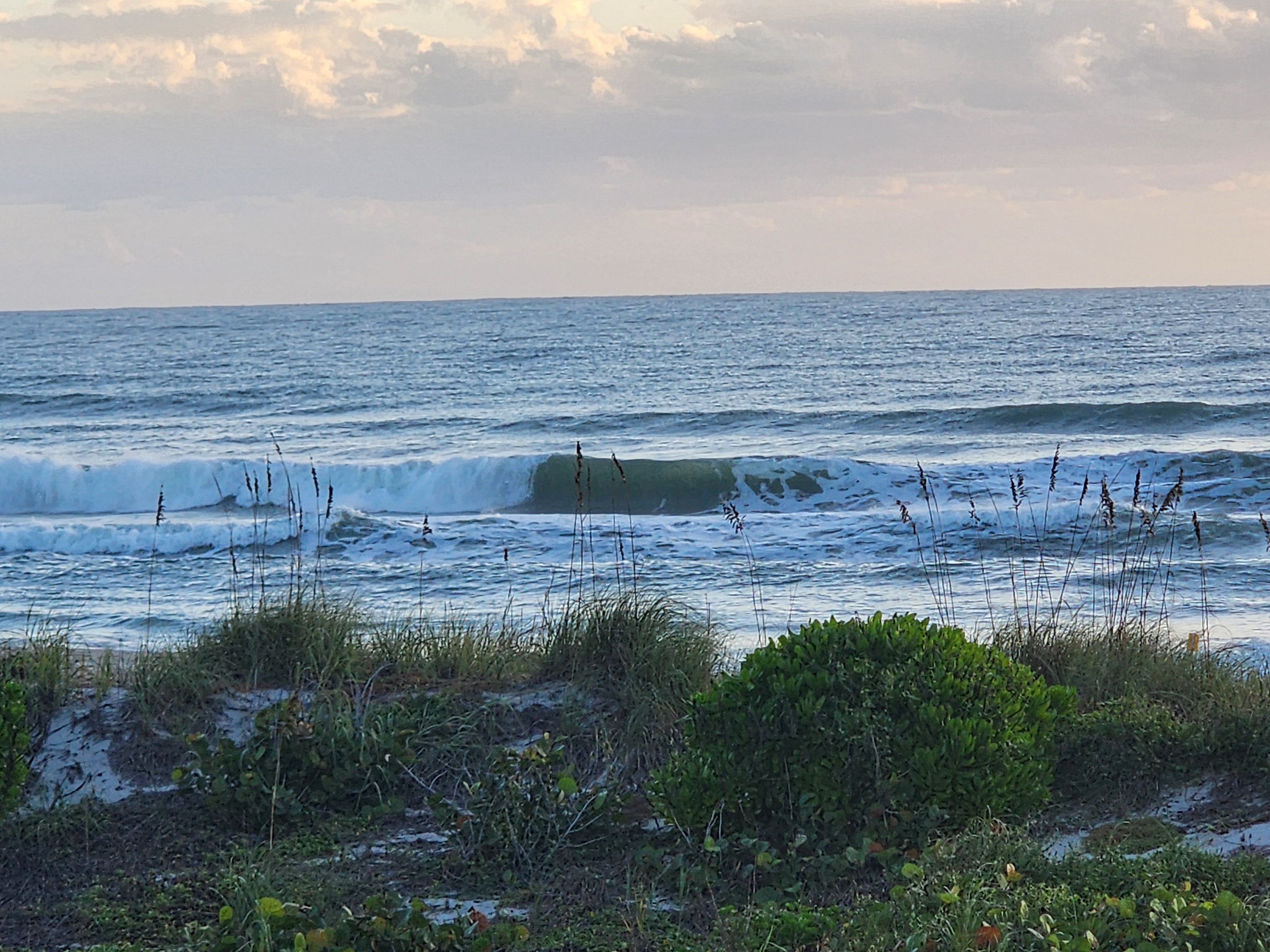 Green barreling section pitching on a left with offshore spray, sea oats in silhouette