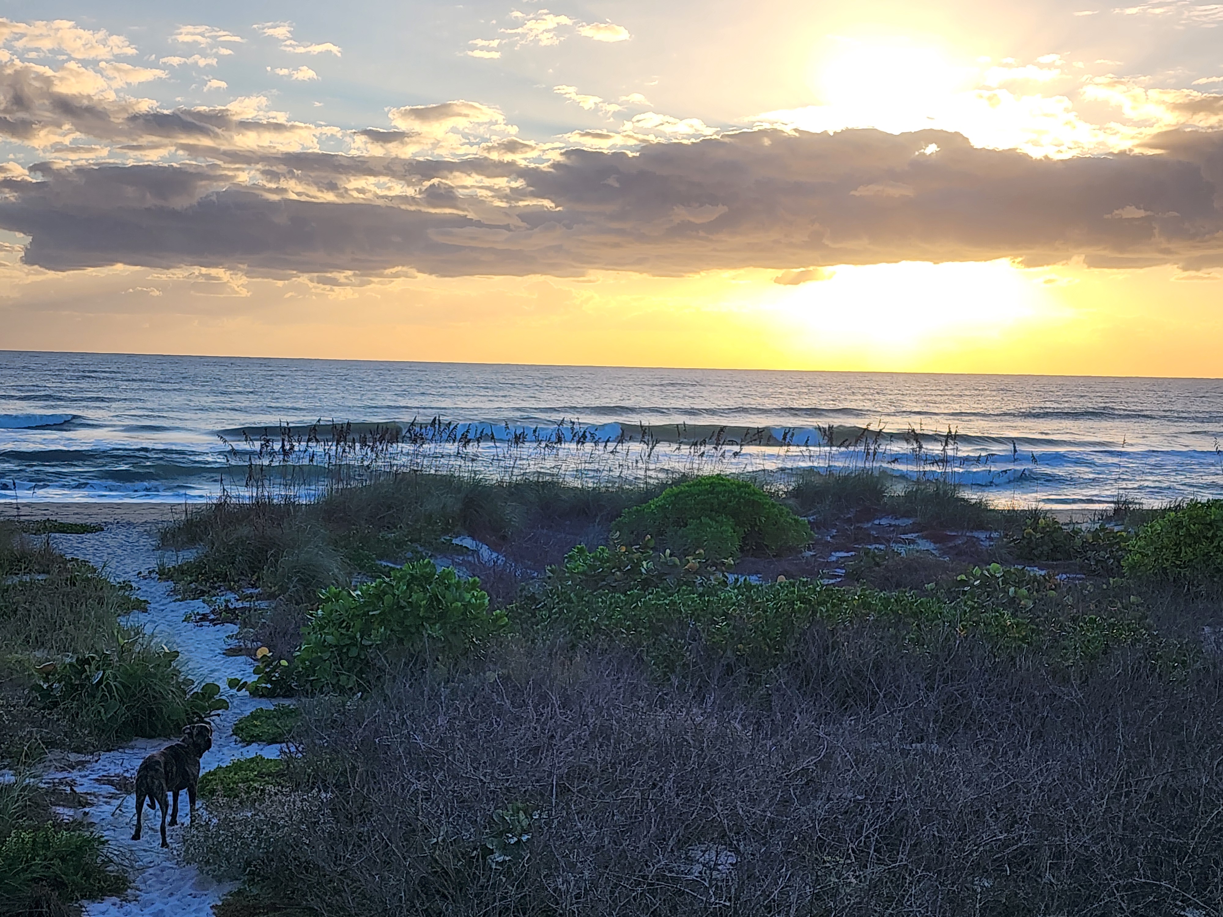 Athena standing on the sandy dune path looking out at the waves as the sun breaks through clouds over the horizon