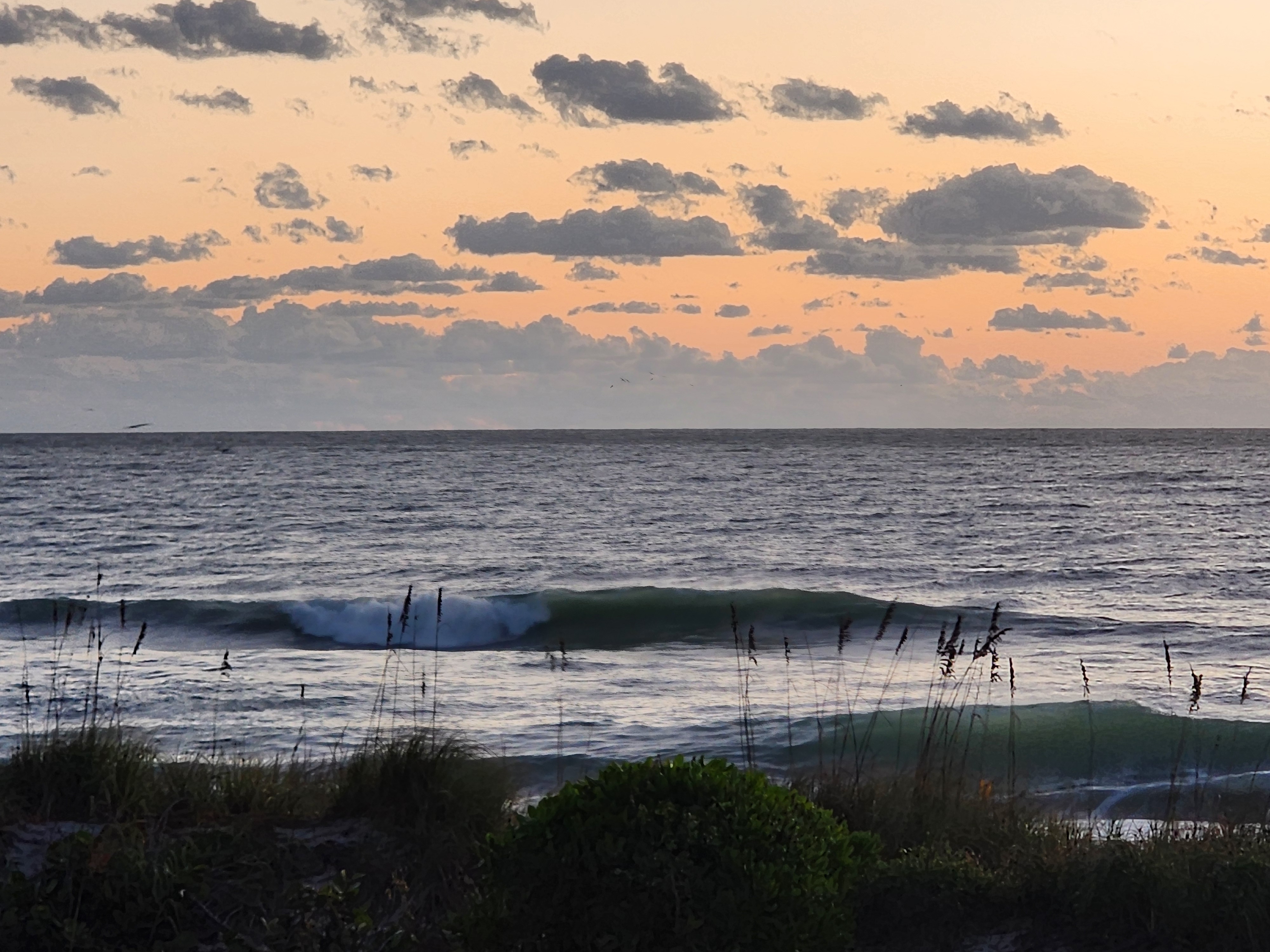 A peeling wave breaking white on the outer bar while a second green line stands up on the inside, sea oats in the foreground