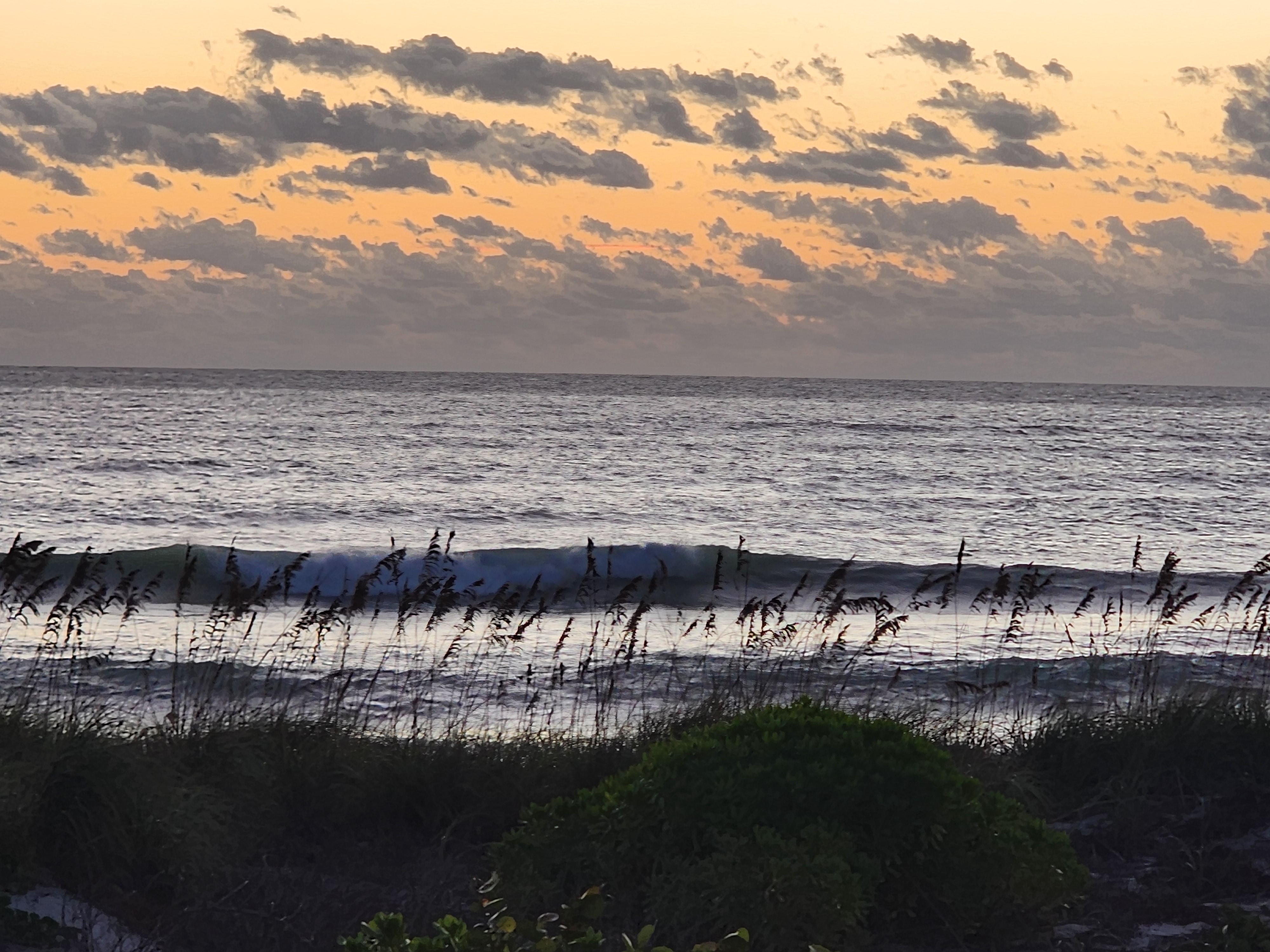 A long lined-up wave feathering across the sandbar at sunrise, framed by sea oats and dune grass