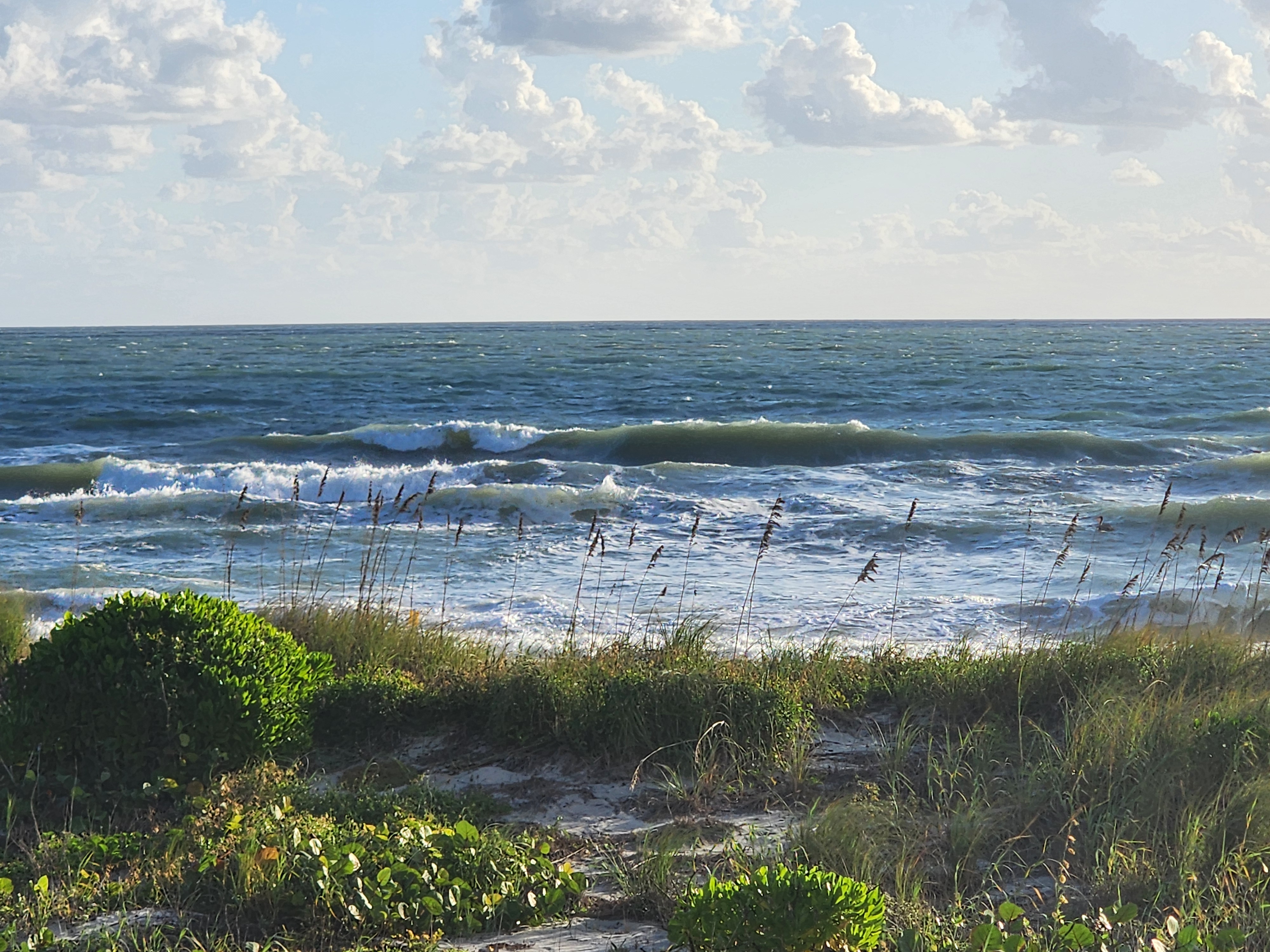 Wind-chopped green lines stacking up across the sandbars under puffy white clouds, sea oats and sea grape in the foreground
