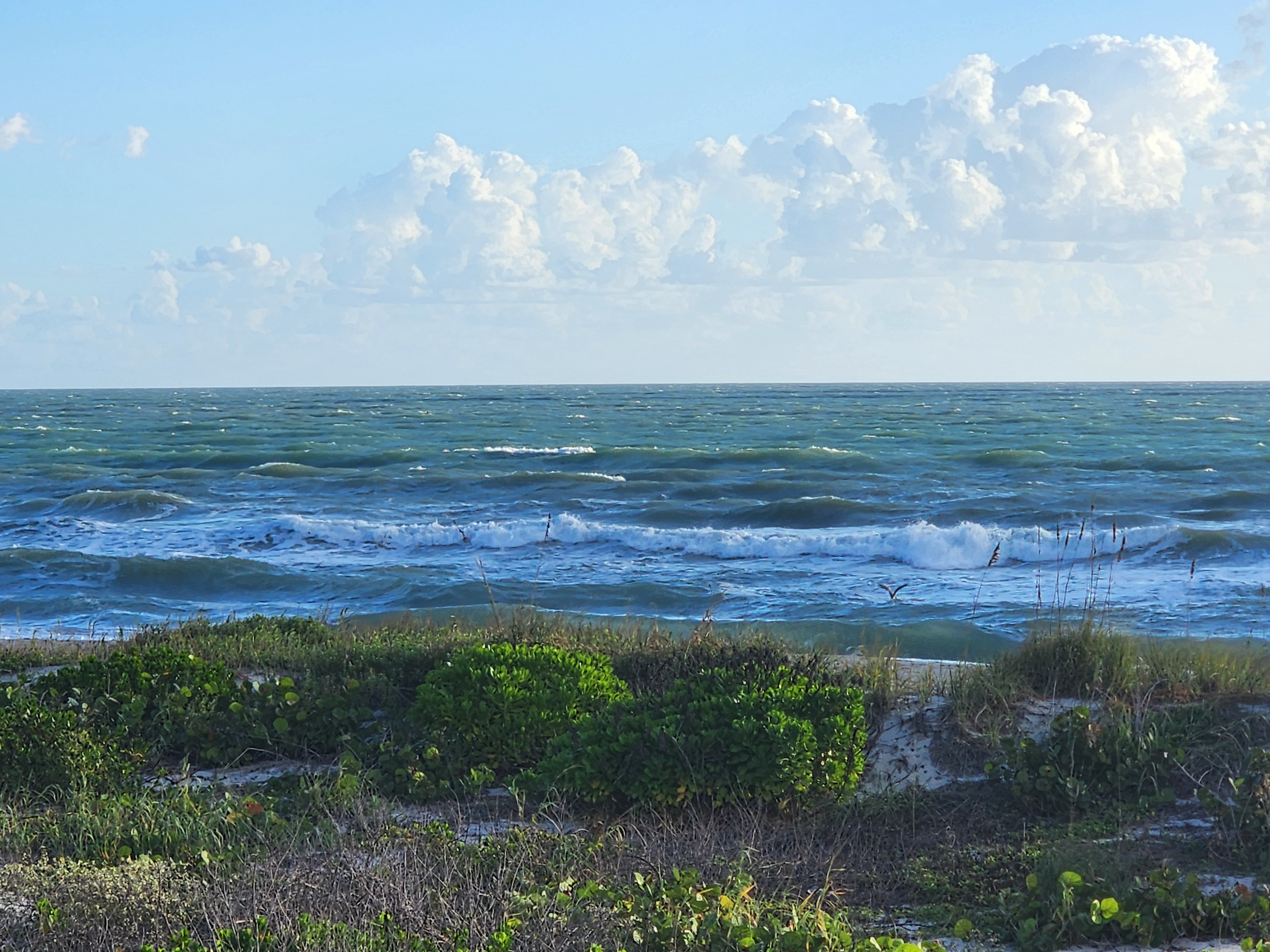 Messy NE wind swell with scattered whitecaps to the horizon and a line of whitewater breaking on the inside