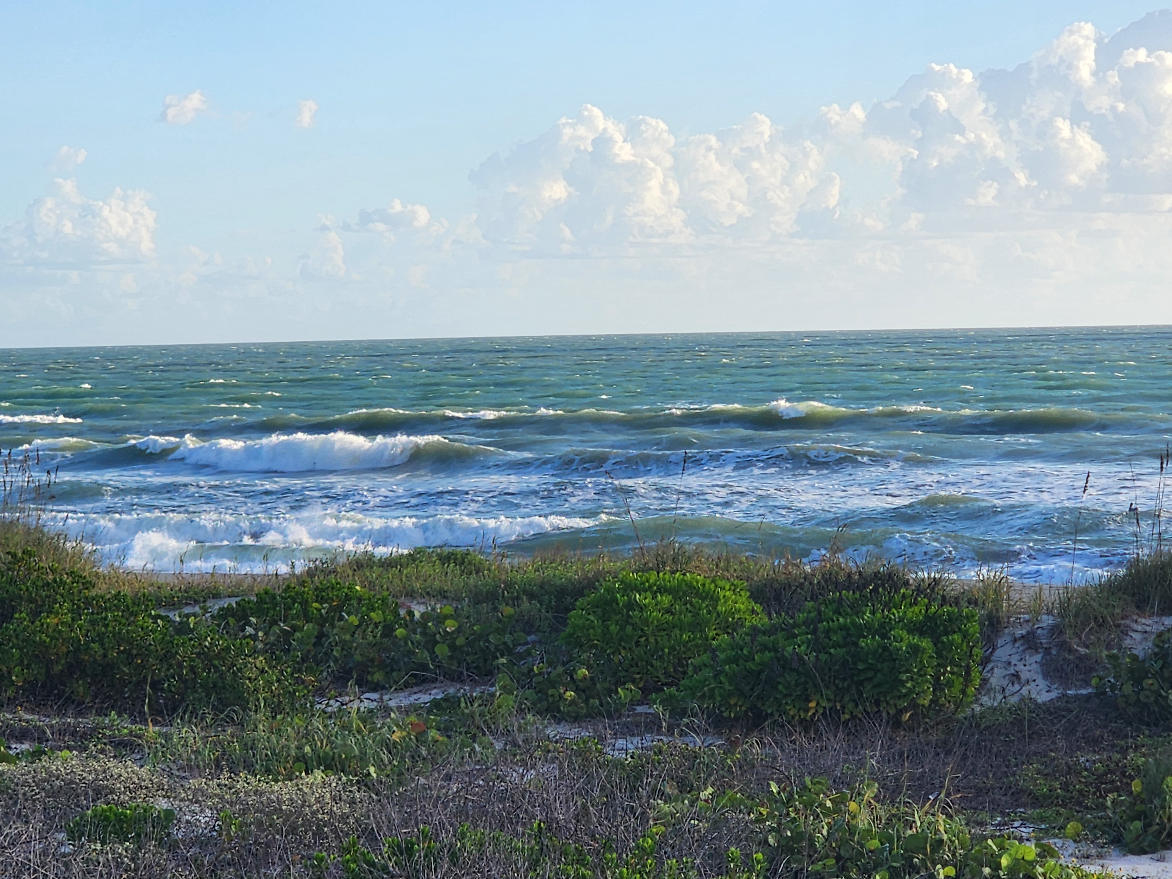 Athena on the sandy dune path looking toward a sun-glittered, wind-blown ocean under bright morning clouds